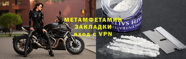 сатива Дмитровск