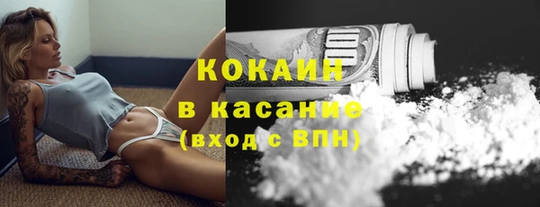 сатива Дмитровск