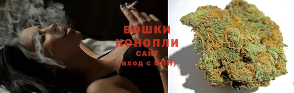 гашик Дмитриев