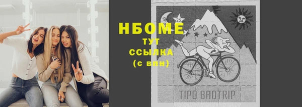 гашик Дмитриев
