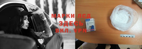 сатива Дмитровск