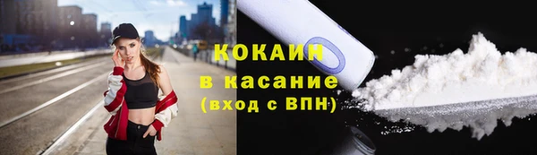 гашик Дмитриев
