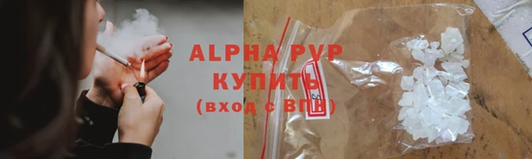 гашик Дмитриев