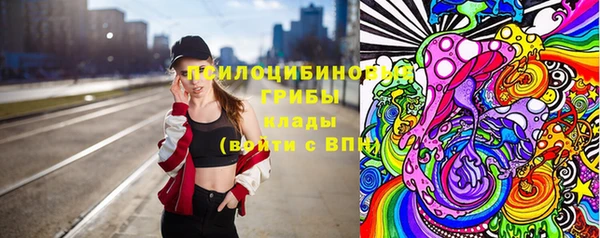 сатива Дмитровск