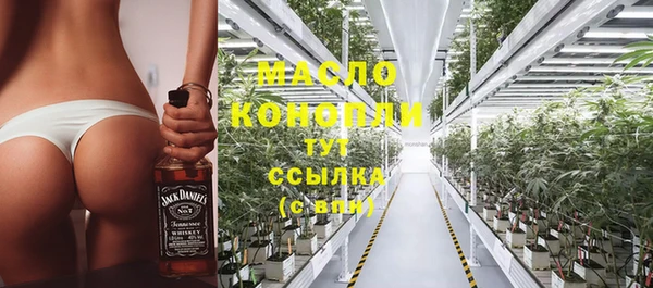 гашик Дмитриев