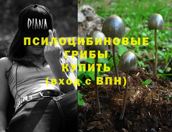 сатива Дмитровск