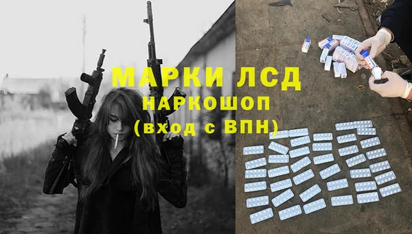 сатива Дмитровск