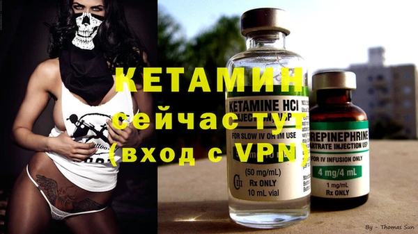 сатива Дмитровск