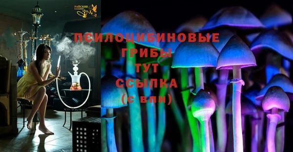 сатива Дмитровск