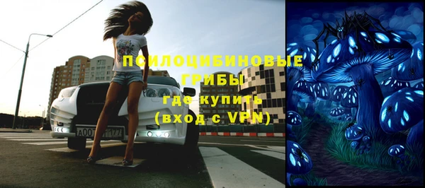 a pvp Дмитров