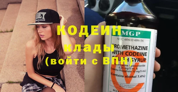 сатива Дмитровск