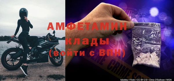 гашик Дмитриев