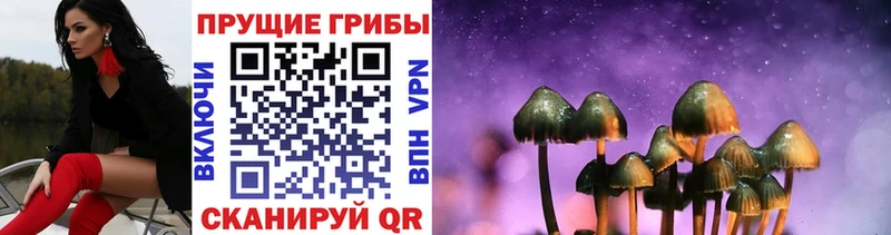 Купить закладки  Альметьевск  Галлюциногенные грибы ЛСД 